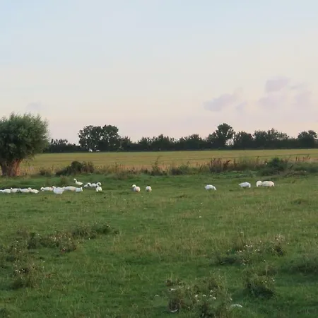 Søndermarken øko